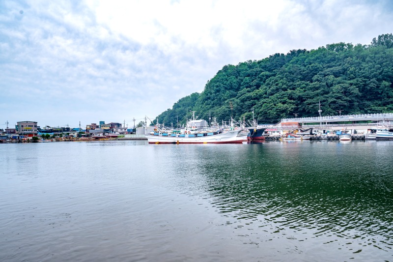 주차장+강구항 (4).jpg