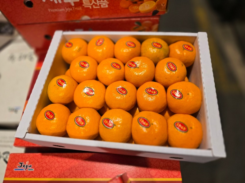1 가락시장 새벽경매 모습과 입고판매되는 과일1.jpeg