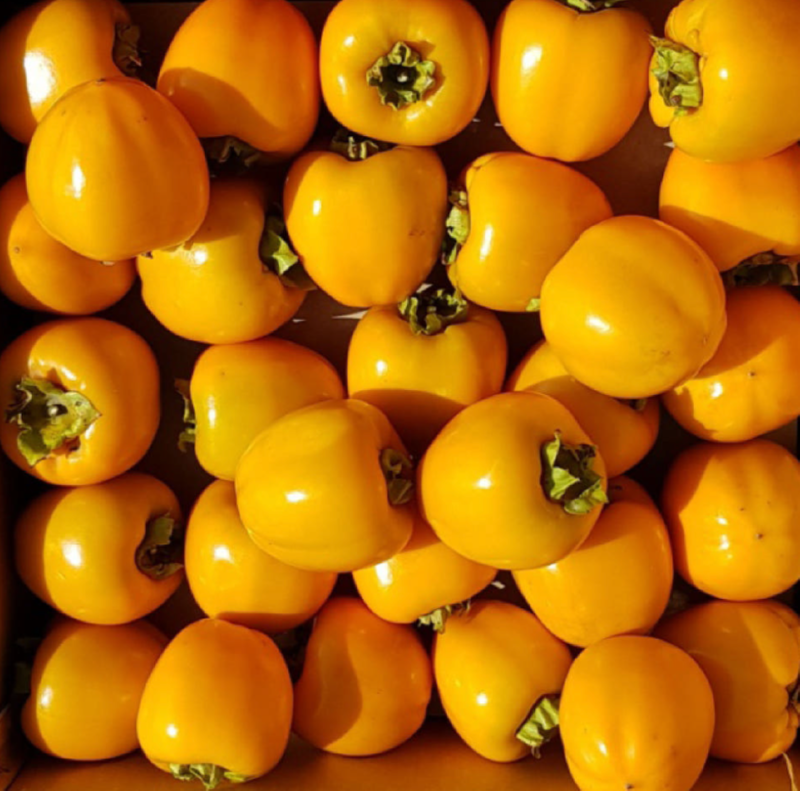 스크린샷 2025-11-13 오전 12.40.31.png