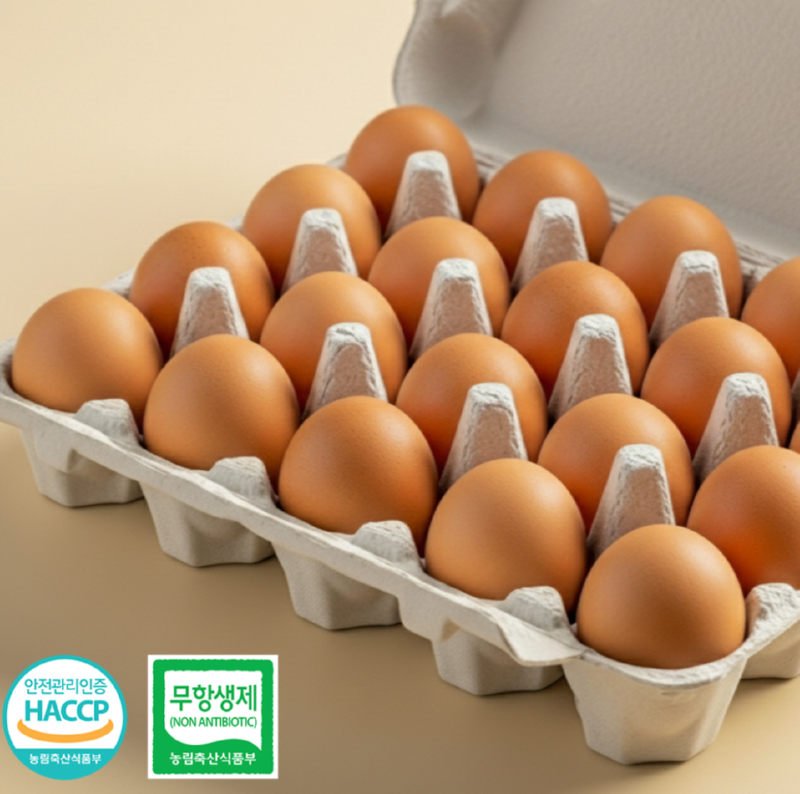 스크린샷 2025-12-14 오후 12.54.44.png