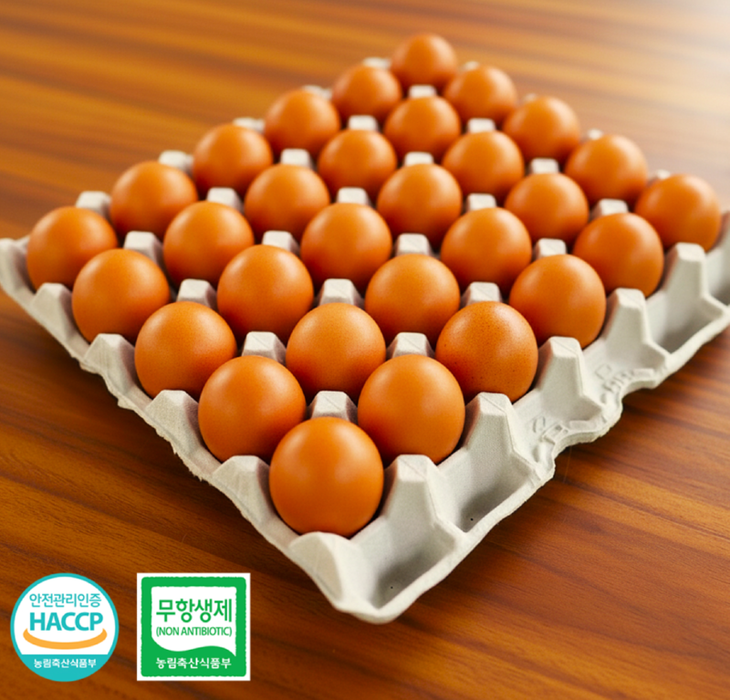 스크린샷 2025-12-14 오후 12.56.49.png