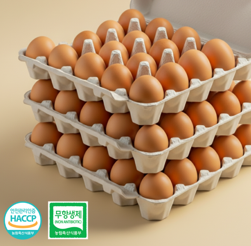 스크린샷 2025-12-14 오후 12.56.37.png