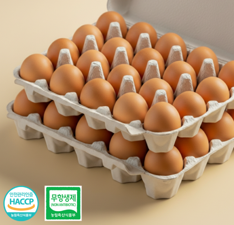 스크린샷 2025-12-14 오후 12.56.27.png