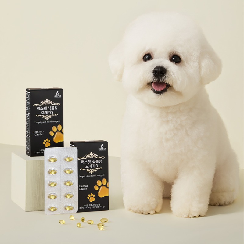 KakaoTalk_Photo_2025-12-31-00-56-02 001.jpeg