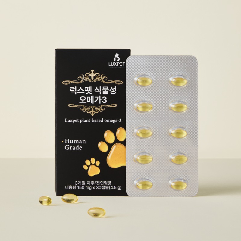 KakaoTalk_Photo_2025-12-31-00-56-03 003.jpeg