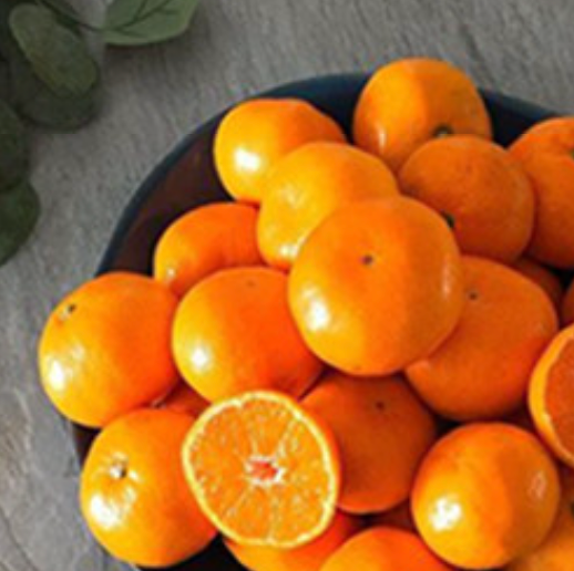 스크린샷 2026-01-01 오후 9.59.42.png