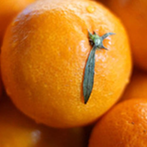 스크린샷 2026-01-01 오후 9.59.28.png