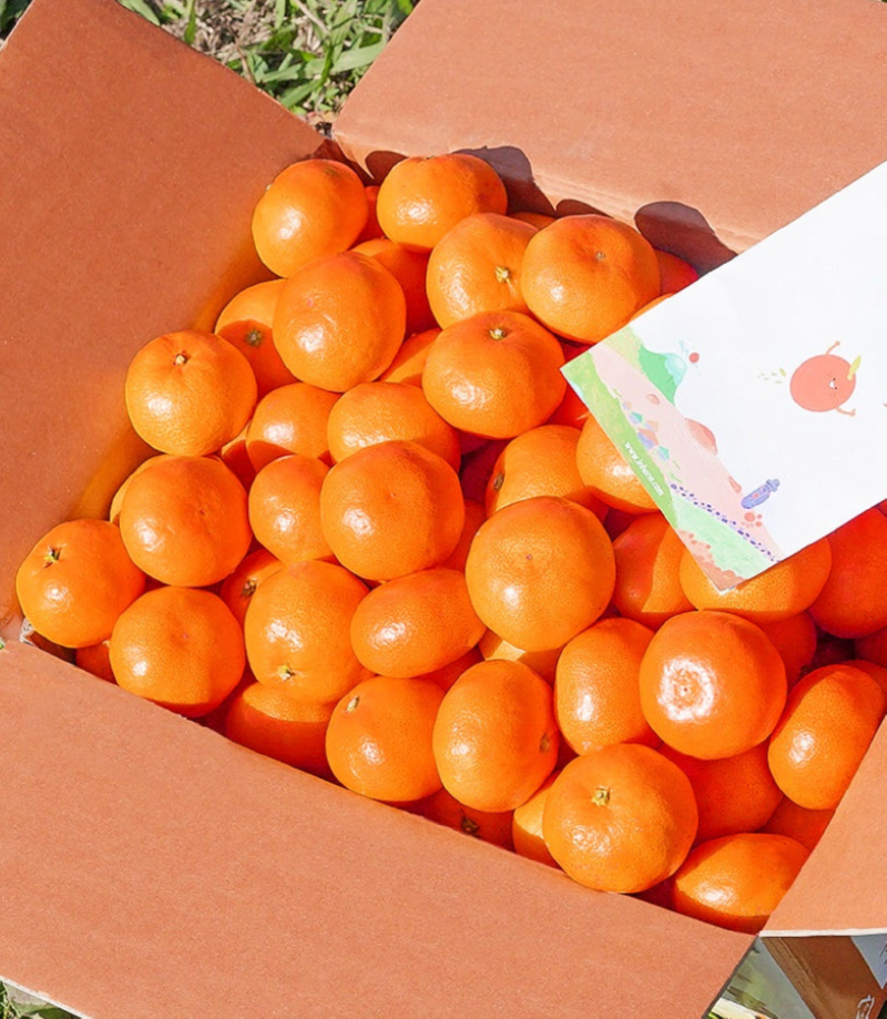 스크린샷 2026-01-01 오후 10.00.10.png