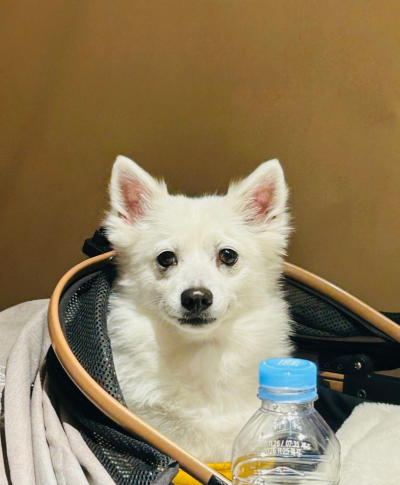 KakaoTalk_Photo_2026-02-23-09-55-50 004.jpeg