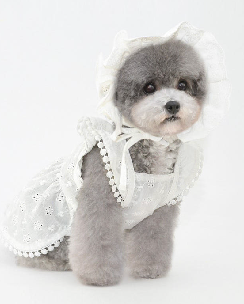 스크린샷 2026-03-02 오후 10.50.49.png