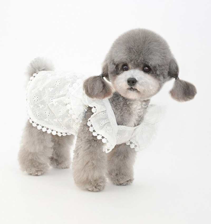 스크린샷 2026-03-02 오후 10.51.15.png