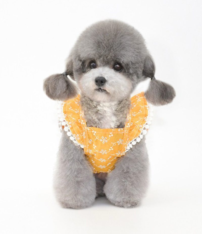 스크린샷 2026-03-02 오후 10.51.05.png