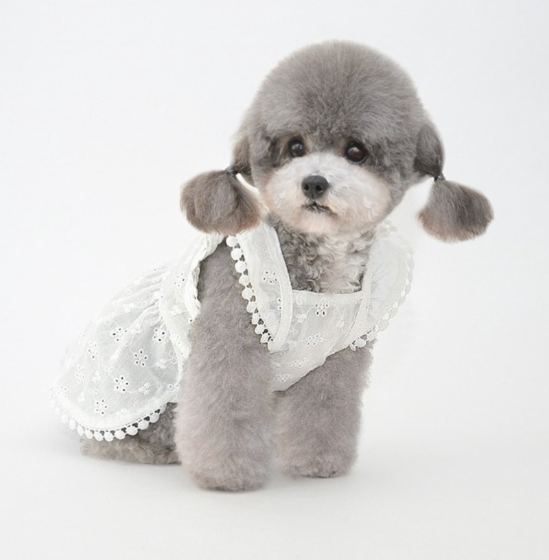 스크린샷 2026-03-02 오후 10.51.24.png