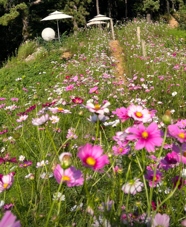 스크린샷 2026-03-17 오후 4.29.50.png